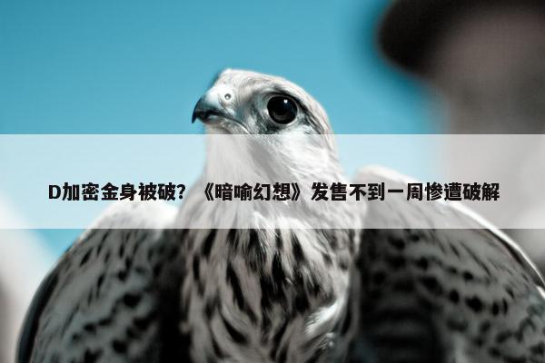 D加密金身被破？《暗喻幻想》发售不到一周惨遭破解