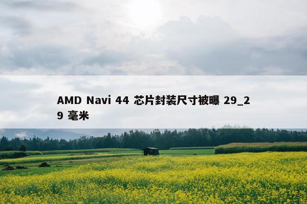 AMD Navi 44 芯片封装尺寸被曝 29_29 毫米