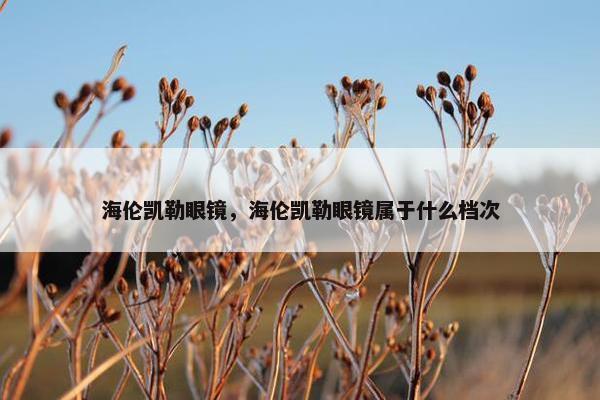 海伦凯勒眼镜，海伦凯勒眼镜属于什么档次