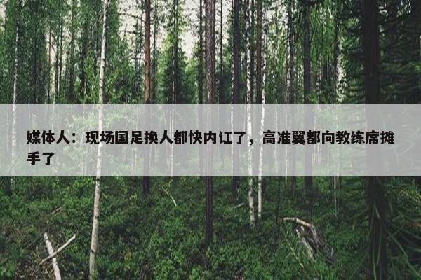 媒体人：现场国足换人都快内讧了，高准翼都向教练席摊手了