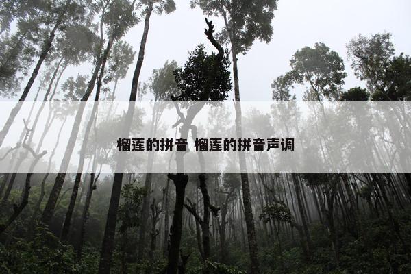 榴莲的拼音 榴莲的拼音声调