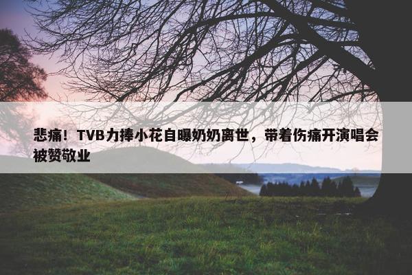 悲痛！TVB力捧小花自曝奶奶离世，带着伤痛开演唱会被赞敬业