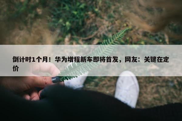 倒计时1个月！华为增程新车即将首发，网友：关键在定价