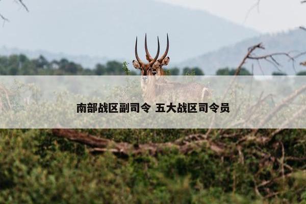 南部战区副司令 五大战区司令员