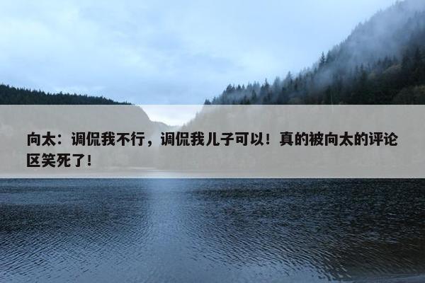 向太：调侃我不行，调侃我儿子可以！真的被向太的评论区笑死了！