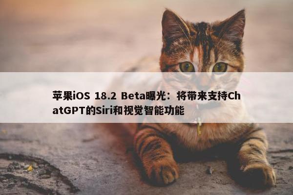 苹果iOS 18.2 Beta曝光：将带来支持ChatGPT的Siri和视觉智能功能