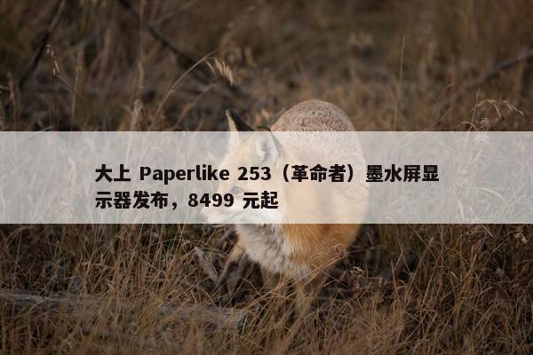 大上 Paperlike 253（革命者）墨水屏显示器发布，8499 元起