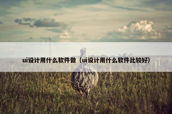 ui设计用什么软件做（ui设计用什么软件比较好）