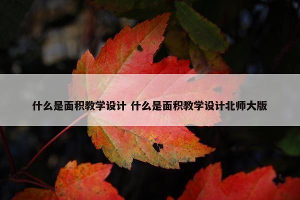 什么是面积教学设计 什么是面积教学设计北师大版