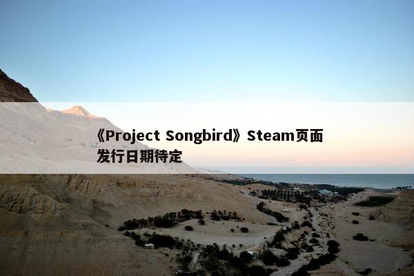 《Project Songbird》Steam页面 发行日期待定