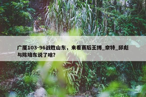 广厦103-96战胜山东，来看赛后王博_奈特_邱彪与陈培东说了啥？