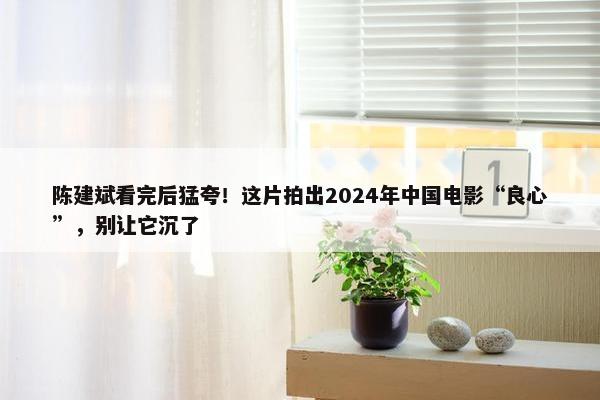 陈建斌看完后猛夸！这片拍出2024年中国电影“良心”，别让它沉了