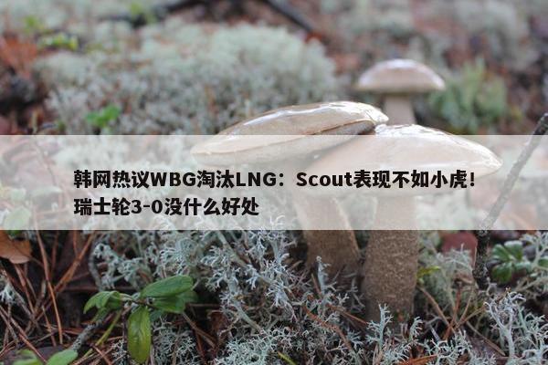 韩网热议WBG淘汰LNG：Scout表现不如小虎！瑞士轮3-0没什么好处