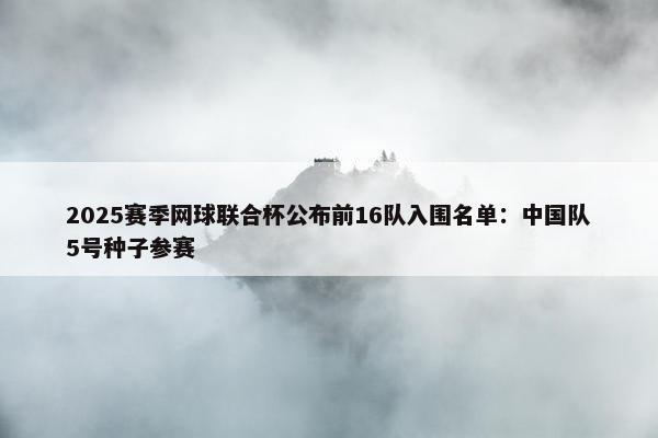 2025赛季网球联合杯公布前16队入围名单：中国队5号种子参赛