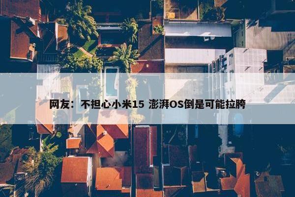 网友：不担心小米15 澎湃OS倒是可能拉胯