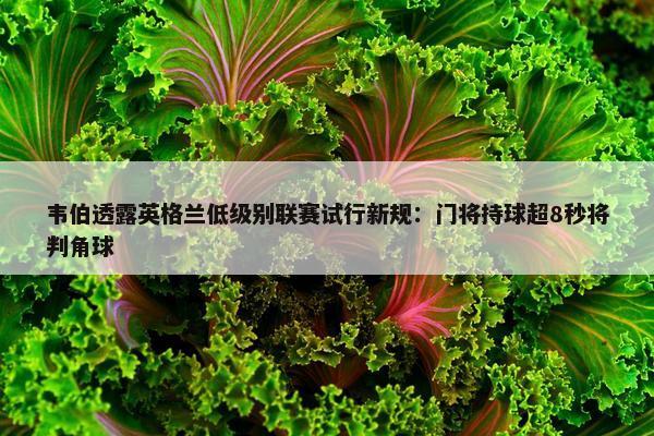 韦伯透露英格兰低级别联赛试行新规：门将持球超8秒将判角球