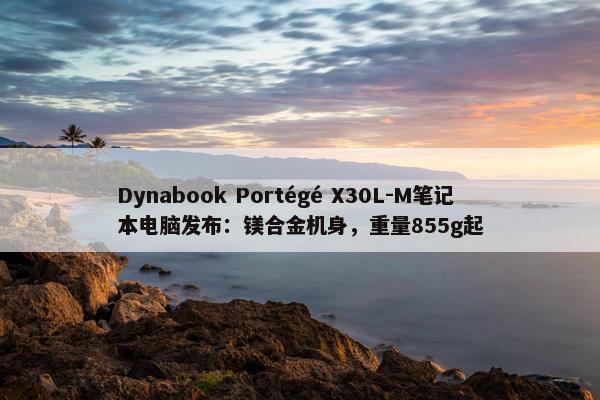 Dynabook Portégé X30L-M笔记本电脑发布：镁合金机身，重量855g起