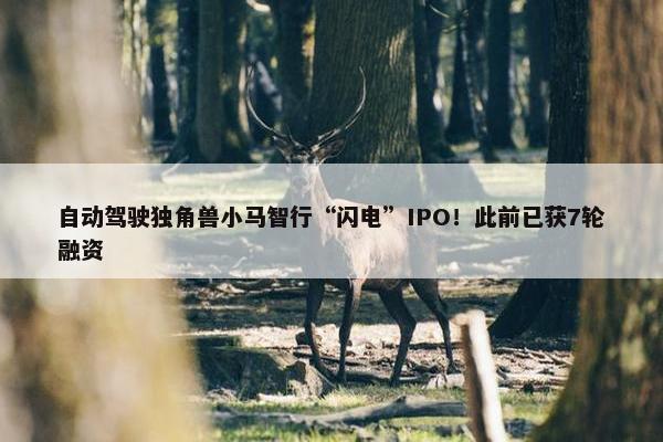 自动驾驶独角兽小马智行“闪电”IPO！此前已获7轮融资