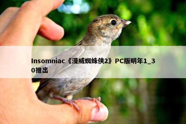 Insomniac《漫威蜘蛛侠2》PC版明年1_30推出