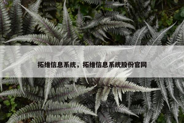 拓维信息系统，拓维信息系统股份官网