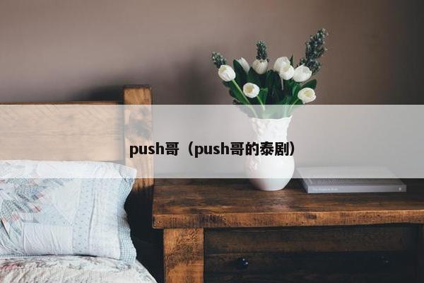 push哥（push哥的泰剧）