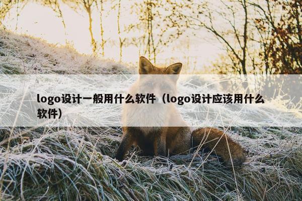 logo设计一般用什么软件（logo设计应该用什么软件）