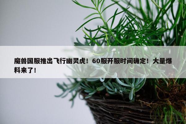 魔兽国服推出飞行幽灵虎！60服开服时间确定！大量爆料来了！