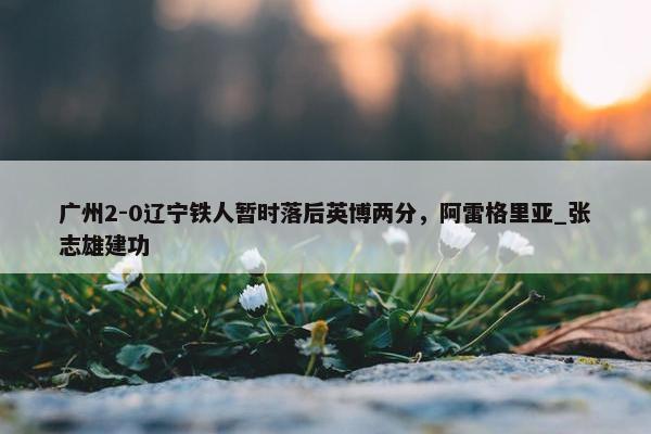 广州2-0辽宁铁人暂时落后英博两分，阿雷格里亚_张志雄建功