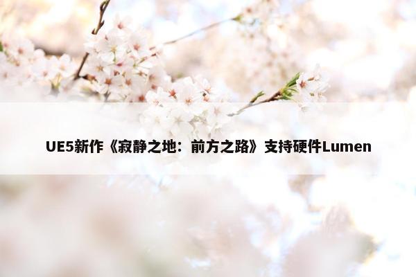 UE5新作《寂静之地：前方之路》支持硬件Lumen