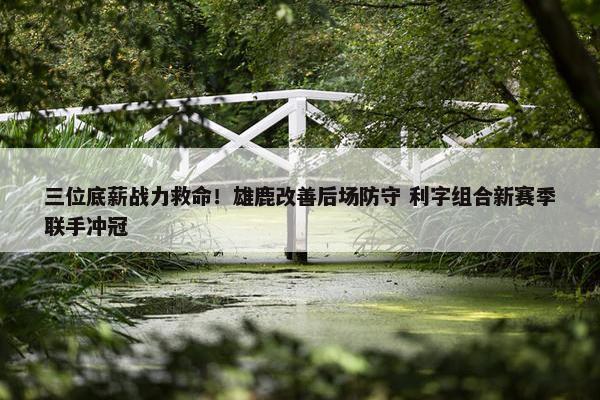 三位底薪战力救命！雄鹿改善后场防守 利字组合新赛季联手冲冠