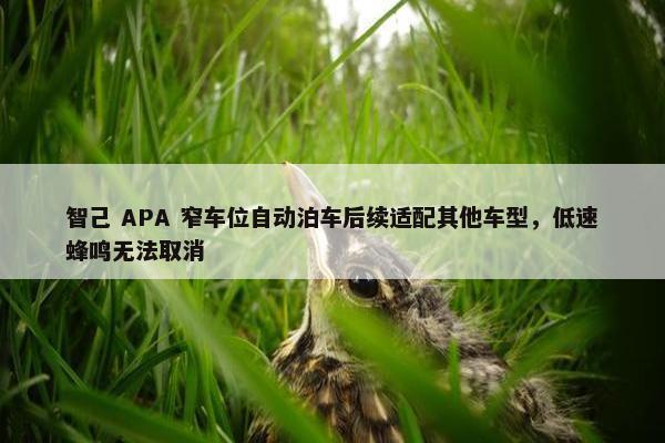 智己 APA 窄车位自动泊车后续适配其他车型，低速蜂鸣无法取消