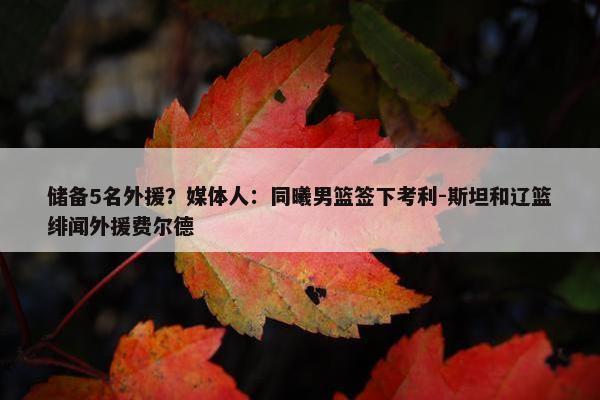 储备5名外援？媒体人：同曦男篮签下考利-斯坦和辽篮绯闻外援费尔德