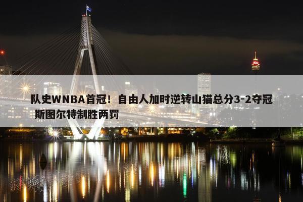 队史WNBA首冠！自由人加时逆转山猫总分3-2夺冠 斯图尔特制胜两罚