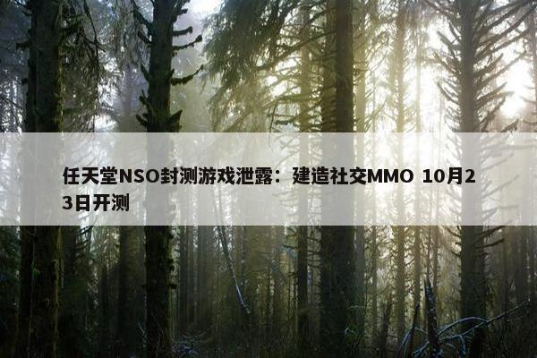 任天堂NSO封测游戏泄露：建造社交MMO 10月23日开测