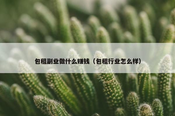 包租副业做什么赚钱（包租行业怎么样）