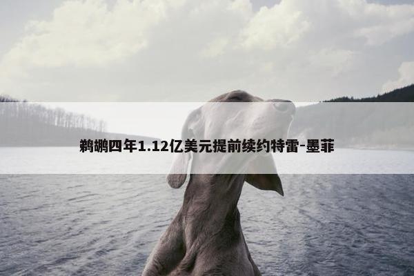 鹈鹕四年1.12亿美元提前续约特雷-墨菲