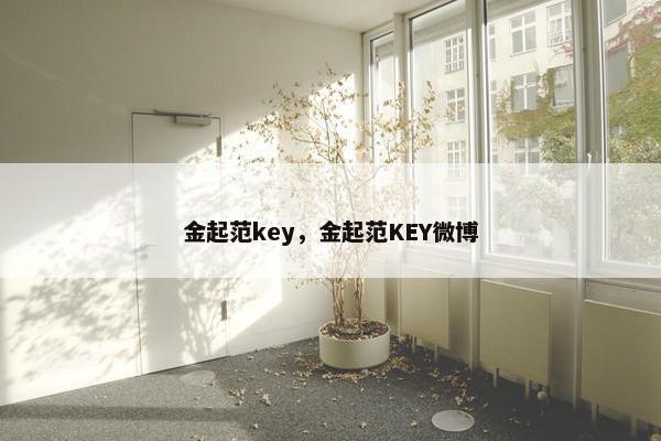 金起范key，金起范KEY微博