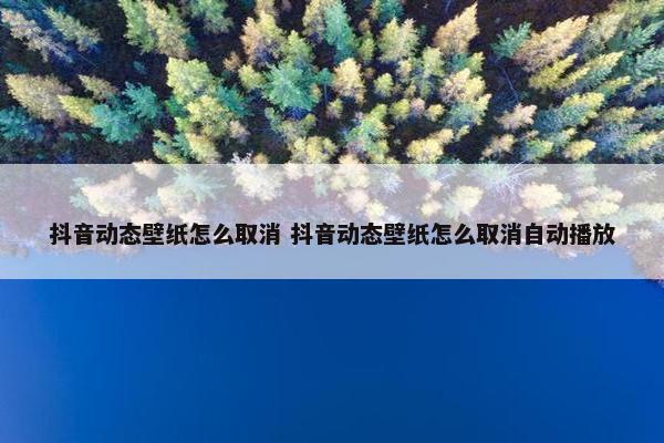 抖音动态壁纸怎么取消 抖音动态壁纸怎么取消自动播放