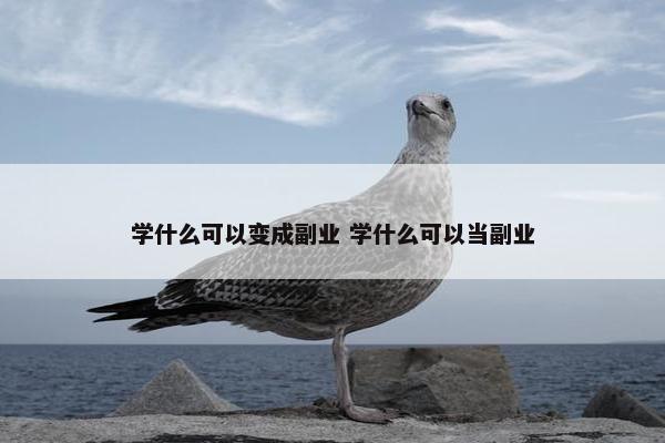 学什么可以变成副业 学什么可以当副业