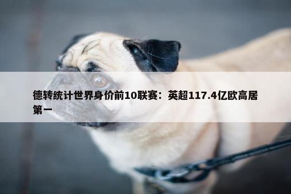 德转统计世界身价前10联赛：英超117.4亿欧高居第一