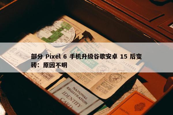 部分 Pixel 6 手机升级谷歌安卓 15 后变砖：原因不明