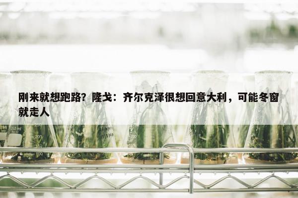 刚来就想跑路？隆戈：齐尔克泽很想回意大利，可能冬窗就走人