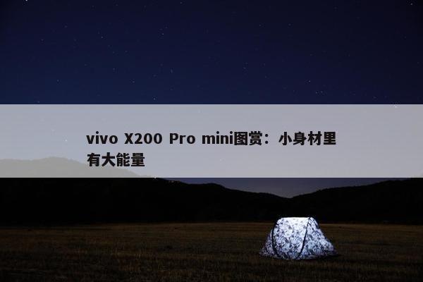 vivo X200 Pro mini图赏：小身材里有大能量