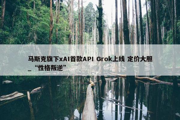 马斯克旗下xAI首款API Grok上线 定价大胆_“性格叛逆”