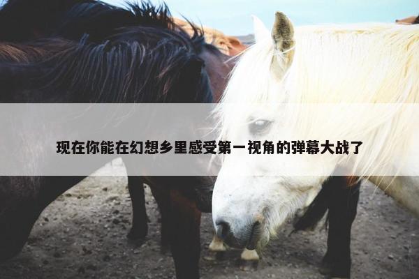 现在你能在幻想乡里感受第一视角的弹幕大战了