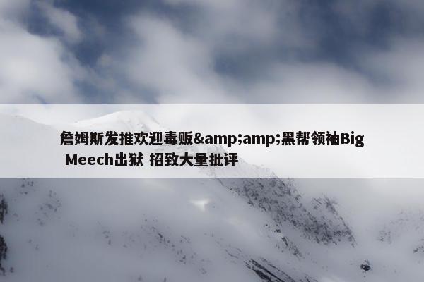 詹姆斯发推欢迎毒贩&amp;黑帮领袖Big Meech出狱 招致大量批评