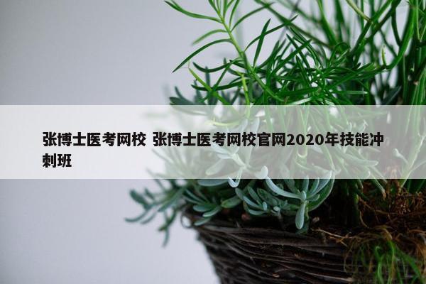 张博士医考网校 张博士医考网校官网2020年技能冲刺班