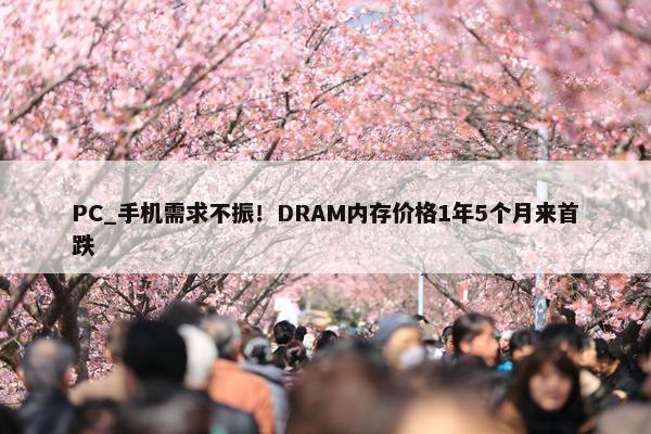 PC_手机需求不振！DRAM内存价格1年5个月来首跌