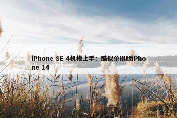 iPhone SE 4机模上手：酷似单摄版iPhone 14