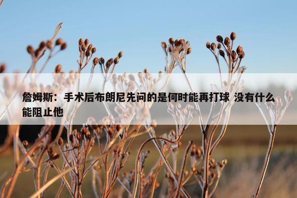 詹姆斯：手术后布朗尼先问的是何时能再打球 没有什么能阻止他